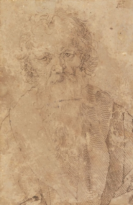 Picture of BEARDED OLD MAN CA 1520