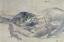 Picture of LANDSCAPE IN SOUTH TYROL 1495
