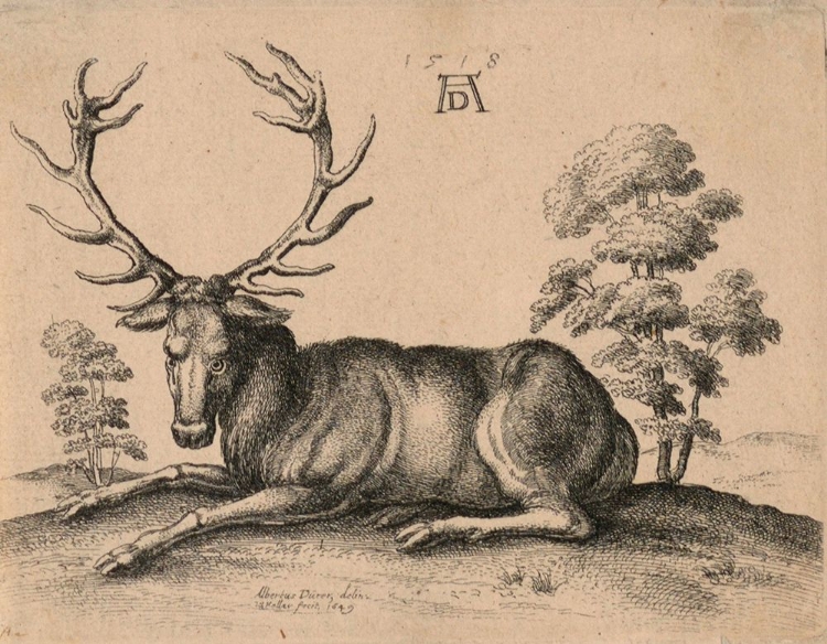 Picture of STAG, WENCESLAUS HOLLAR