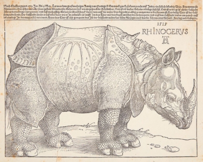 Picture of THE RHINOCEROS