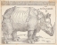 Picture of THE RHINOCEROS