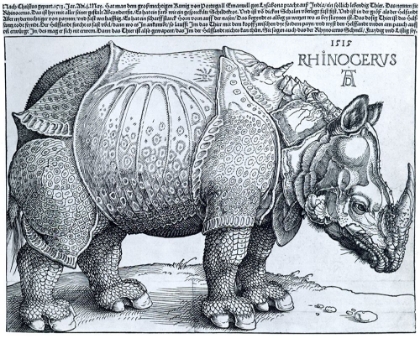 Picture of THE RHINOCEROUS 1515