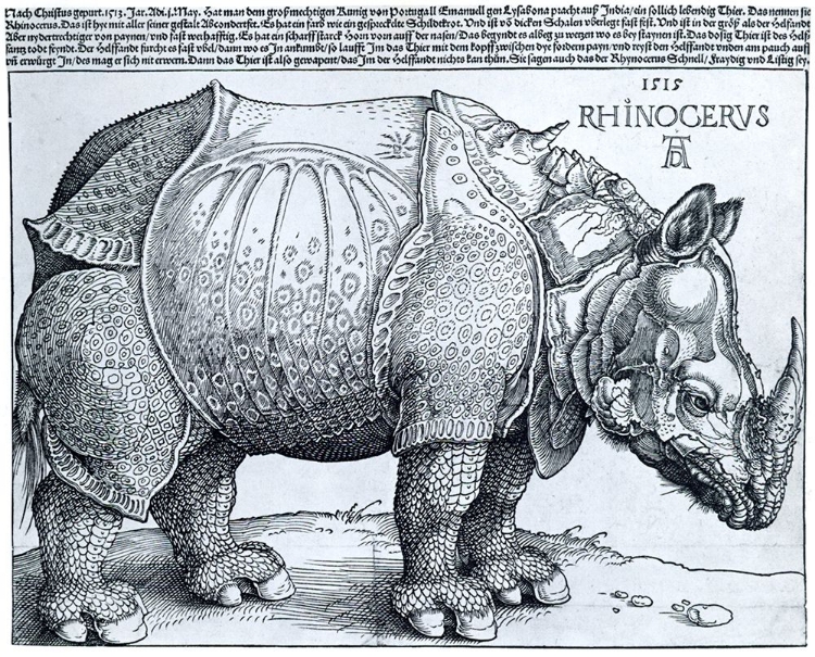 Picture of THE RHINOCEROUS 1515