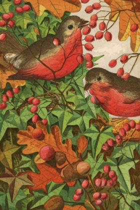 Picture of 1869 VOL. 25 - WINTER FOLIAGE AND BIRDS