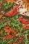 Picture of 1869 VOL. 25 - WINTER FOLIAGE AND BIRDS