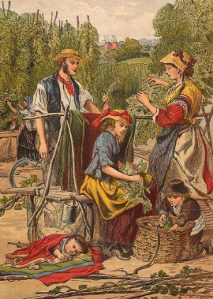 Picture of 1870 VOL. 26 - HOP-PICKING
