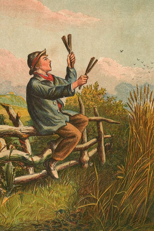 Picture of 1871 VOL. 27 - CROW-SCARING