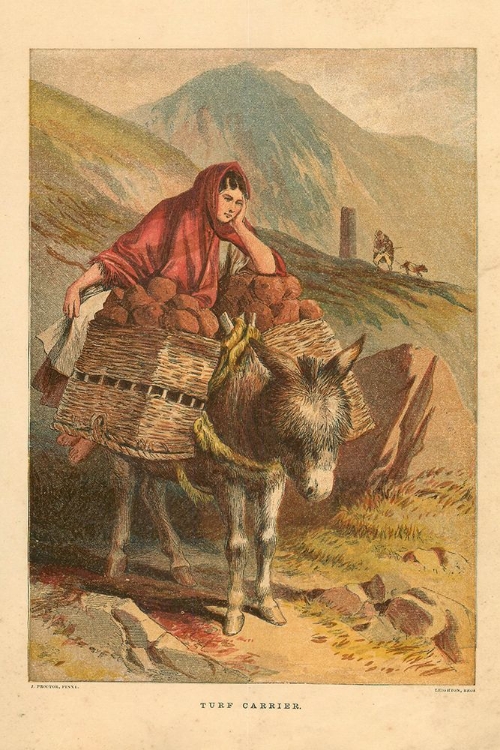 Picture of 1871 VOL. 27 - THE CARRIER