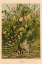 Picture of 1872 VOL. 28 - SPRING CHICKS