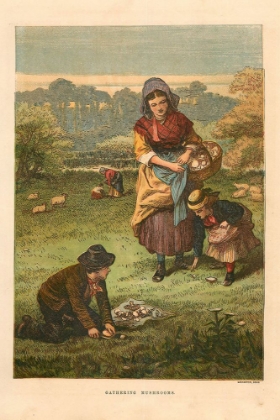 Picture of 1873 VOL. 29 - GATHERING MUSHROOMS