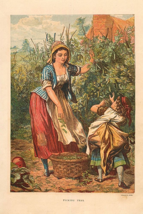 Picture of 1873 VOL. 29 - PICKING PEAS