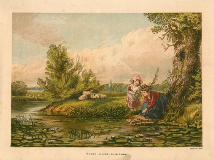 Picture of 1874 VOL. 30 - WATER-LILIES ON THE THAMES