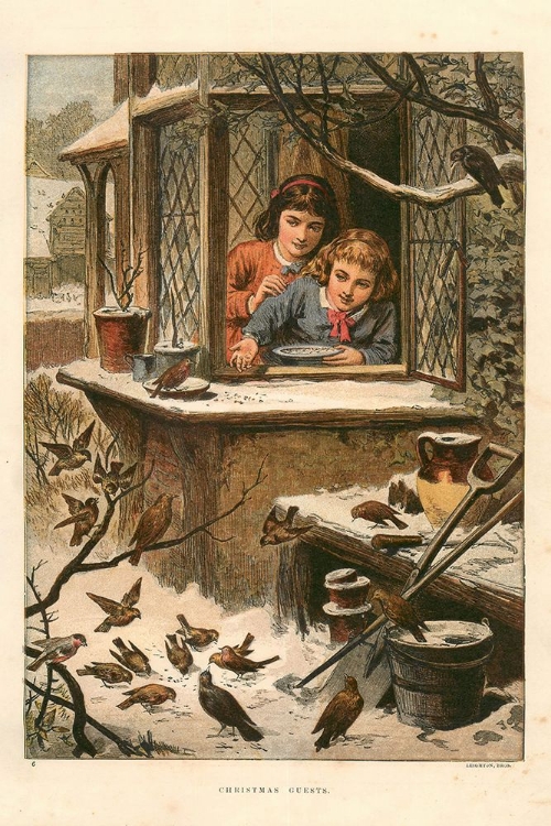 Picture of 1875 VOL.31 - CHRISTMAS BIRD GUESTS