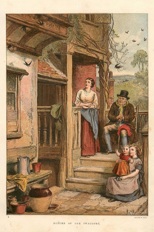 Picture of 1875 VOL.31 - RETURN OF THE SWALLOWS