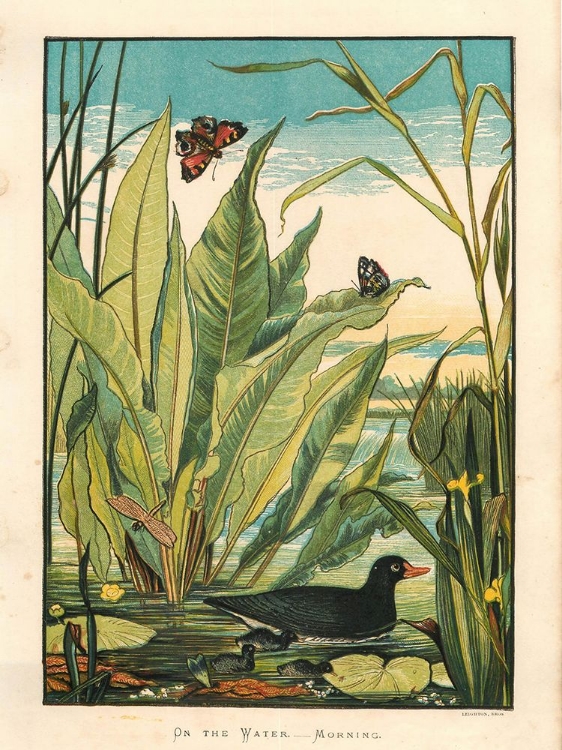 Picture of 1877 VOL. 33 - ON THE WATER, MORNING