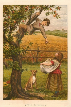 Picture of 1878 VOL. 34 - APPLE GATHERING