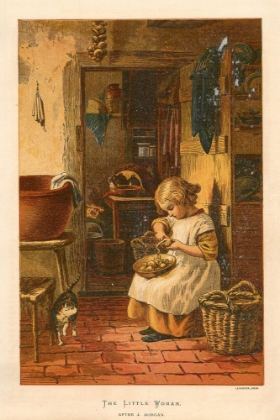 Picture of 1878 VOL. 34 - THE LITTLE WOMAN