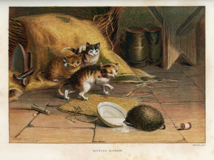 Picture of 1880 VOL. 36 - BAFFLED KITTENS