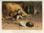 Picture of 1880 VOL. 36 - BAFFLED KITTENS