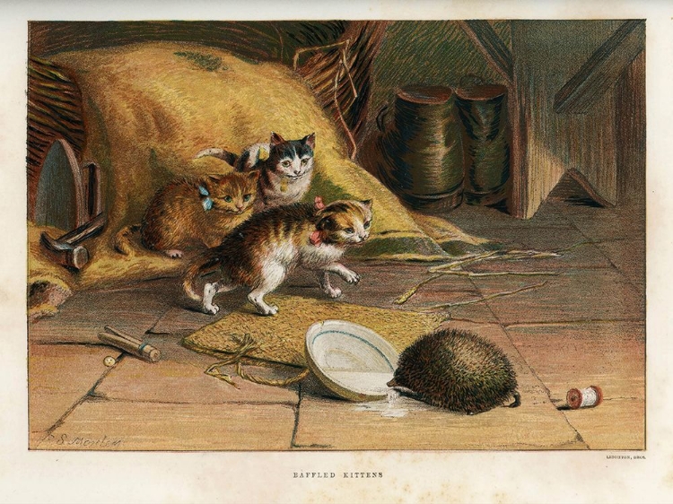 Picture of 1880 VOL. 36 - BAFFLED KITTENS