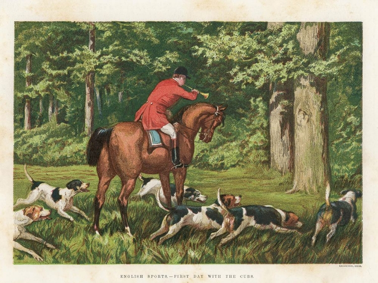 Picture of 1880 VOL. 36 - FOX-HUNTING DOGS