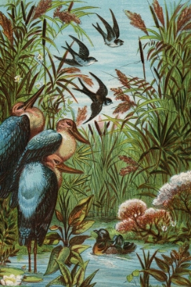 Picture of 1880 VOL. 36 - MORNING BIRDS