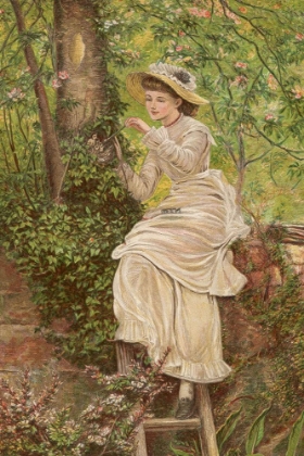 Picture of 1881 VOL. 37 - THE FOSTER MOTHER