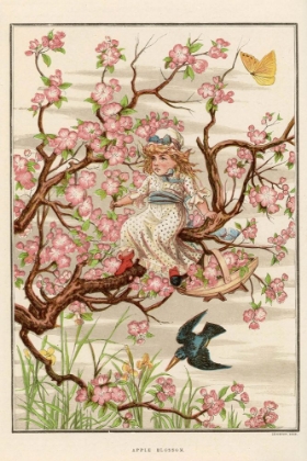 Picture of 1882 VOL. 38 - APPLE BLOSSOM