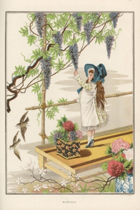 Picture of 1882 VOL. 38 - WISTERIA