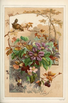 Picture of 1883 VOL. 39 - CLEMATIS