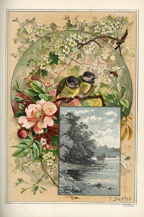 Picture of 1883 VOL. 39 - TITS