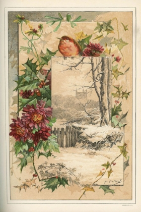 Picture of 1883 VOL. 39 - WINTER ROBIN