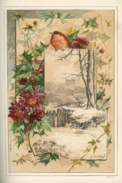 Picture of 1883 VOL. 39 - WINTER ROBIN