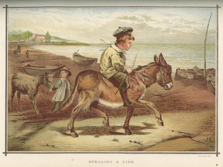 Picture of 1884 VOL. 40 - DONKEY RIDE