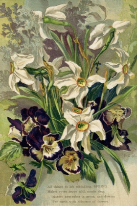 Picture of 1884 VOL. 40 - SPRING VERSE AND FLOWERS