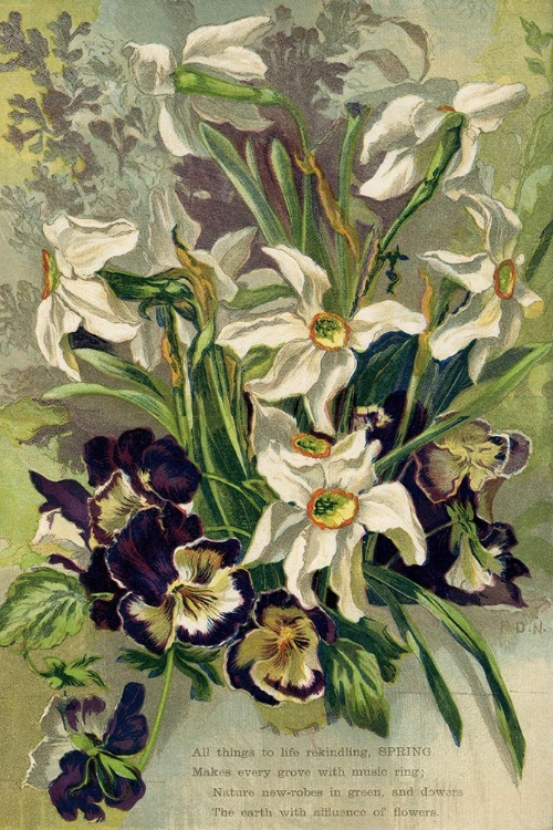 Picture of 1884 VOL. 40 - SPRING VERSE AND FLOWERS