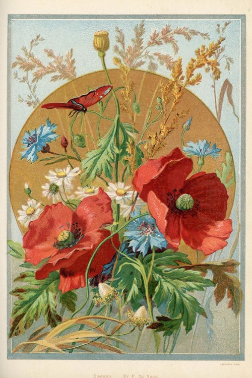 Picture of 1885 VOL. 41 - SUMMER POPPIES