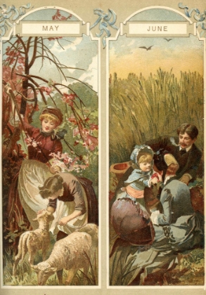 Picture of 1886 VOL. 42 - MAY JUNE