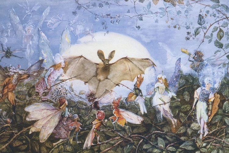Picture of FAIRIES ATTACKING A BAT