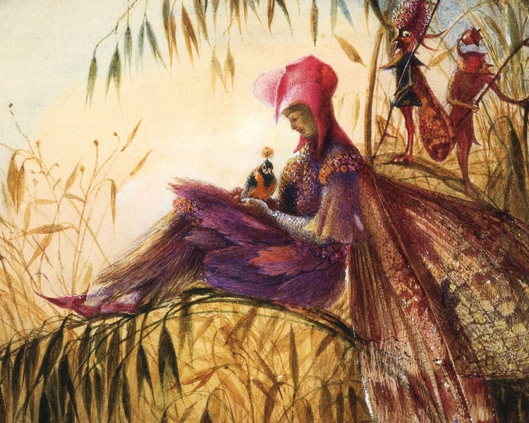 Picture of THE FAIRY FALCONER