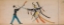 Picture of SOUTHERN AND NORTHERN CHEYENNE LEDGER 34