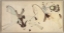 Picture of NATIVE AMERICAN LEDGER BOOK DRAWING NO 2