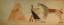 Picture of CHEYENNE OR ARAPAHO DRAWING PAGE 16
