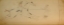 Picture of CHEYENNE OR ARAPAHO DRAWING PAGE 106