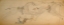 Picture of CHEYENNE OR ARAPAHO DRAWING PAGE 108