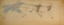 Picture of CHEYENNE OR ARAPAHO DRAWING PAGE 164