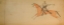 Picture of CHEYENNE OR ARAPAHO DRAWING PAGE 101