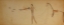 Picture of INDIAN SHOOTING GUN