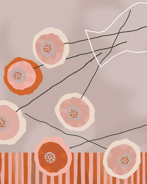 Picture of FIRST SPECIAL II