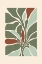 Picture of MATISSE FLOWER VIBES II
